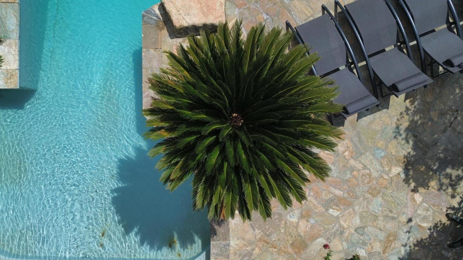 Villa A Casa Di Ficu A 14Kms D'Ajaccio Et Des Plages Avec Piscine Jacuzzi Petanque Sans Vis A Vis Peri Exterior photo